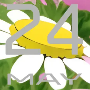 2024 May House EDM Music releases a selection