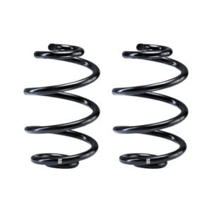 R10220: EIB Replacement Springs