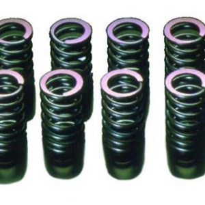 hks22001-AN001: HKS Valve Springs