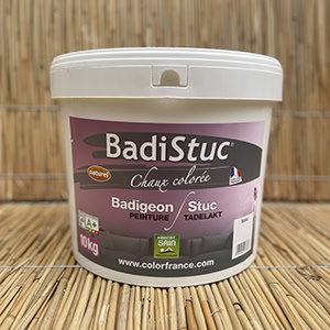BadiStuc