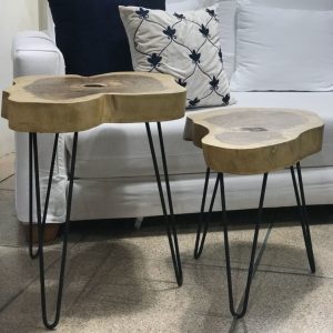 Mesa tronco