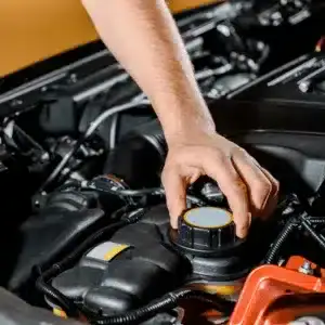 Routine checks reduce jaguar maintenance cost and repair frequency