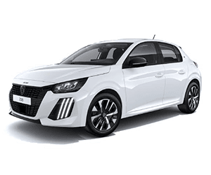 Peugeot 208-2 Sandık Motor