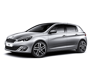 Peugeot 308 Sandık Motor