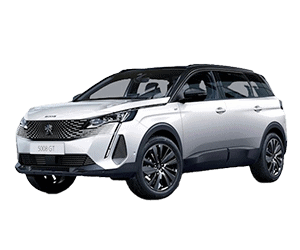 Peugeot 5008 Sandık Motor