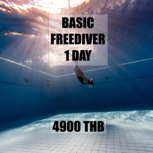 Basic freediver course