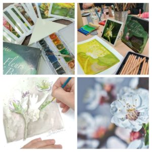 Atelier peindre sa fleur de Bach - Art-thérapie naturelle à Mouans-Sartoux