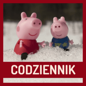 Codziennik dla zupełnie początkujących