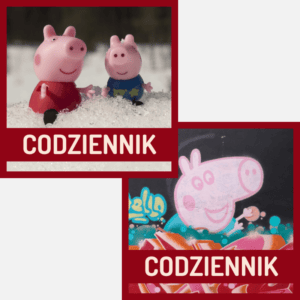 Codziennik dla początkujących - zestaw