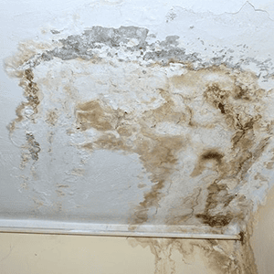 Water Damage Restoration​
