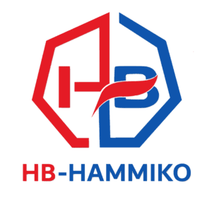 HB Hammiko logo secondary 3 version