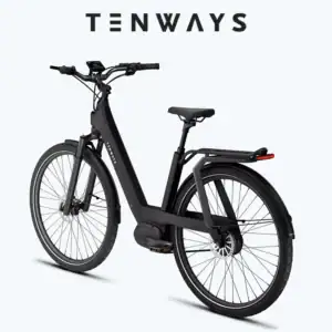 TENWAYS Ago low step through