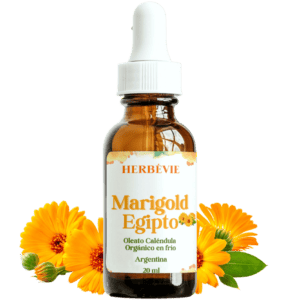 marigold-caledula-herbevie marigold-caledula-herbevie