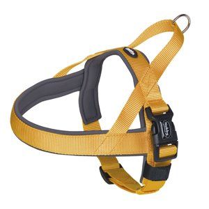 ARNES NEOPRENO CLASSIC S-M NARANJA