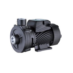Կենտրոնախույս ջրի մղման պոմպ 2DK-20 Pumpman