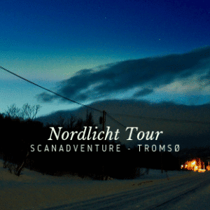 Eine Nordlichttour mit Scanadventure in Tromsø