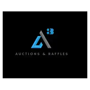 auctions and raffles