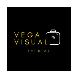 vega visual