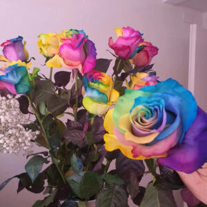 Spettacolo Multicolore: Bouquet di Rose Arcobaleno