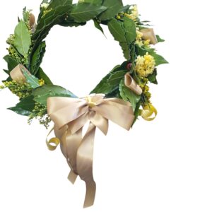 Coroncina Laurea