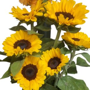 Bouquet Girasoli
