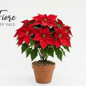 Stella di Natale "Il Fiore by Vale" – Il Fascino Tradizionale delle Feste