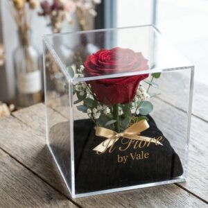 Incanto: Rosa Stabilizzata in Teca di Plexiglass