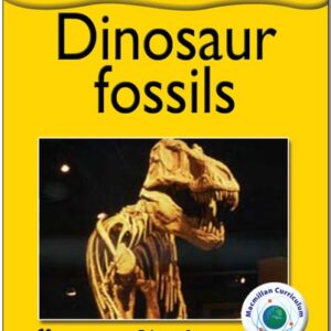 Dinosaur Fossils - Primary 3