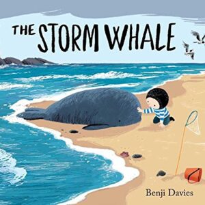 The Storm Whale
