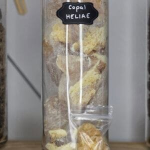Résine rare de copal « Larme » cristallisée – Bursera heliae
