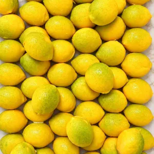 Trompe l'Oeil Citron