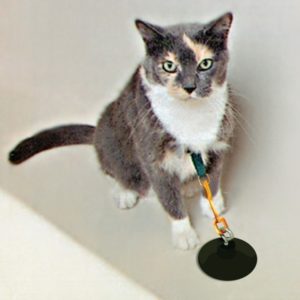 Trimlus met zuignap voor katten