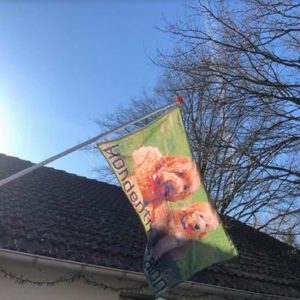 Trimsalon vlag 150x100 - incl. stok en muurhouder