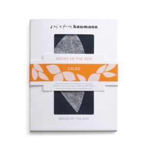 k-interior, cooler weiss, gecko in the Box