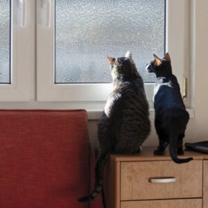 Linea Fix Classic, Milchglasfolie Design