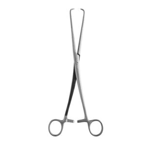 Rotunda Forceps 27cm