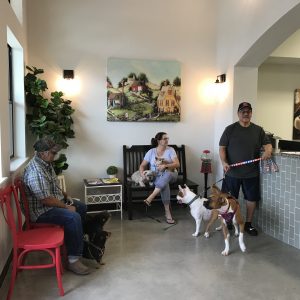 Kyle Texas Republic Veterinary Hospital 