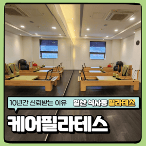 일산 필라테스 허리통증