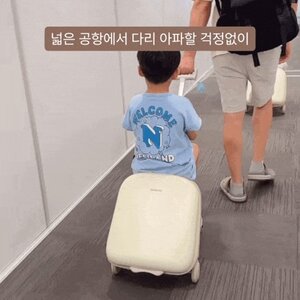 트라이크 캐리어