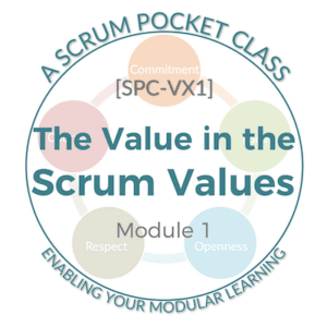Scrum values