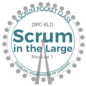 Scrum In The Large