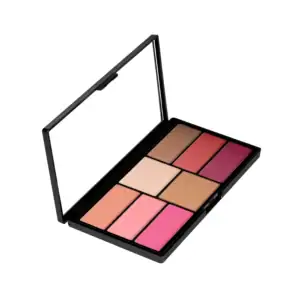 SWISS BEAUTY PRO BLUSH AND HIGHLIGHT - 04