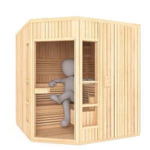 Beispielbild Sauna