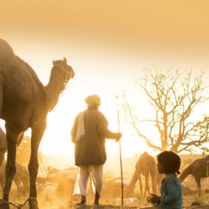The Vibrant Rajasthan