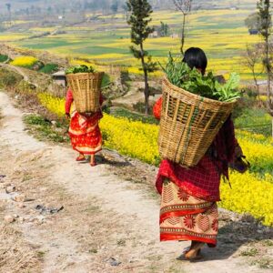 Essence of Nepal