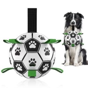 Interactief Hond Voetbal Speelgoed - Opblaasbare Trainingsbal voor Grote Honden