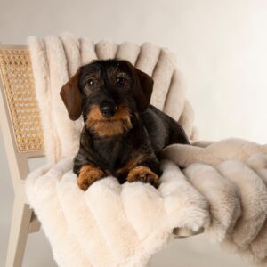 Scruffs - Aspen Blanket – One Size