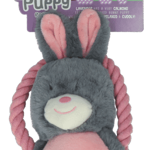 Bunny Puppy Ropey Swing