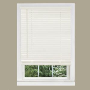 Vinyl Window Blinds