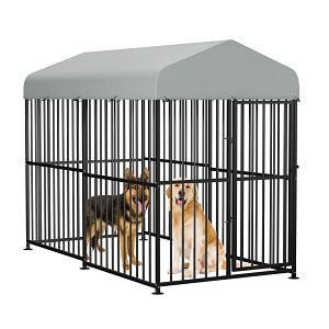 Category - Pet Supplies